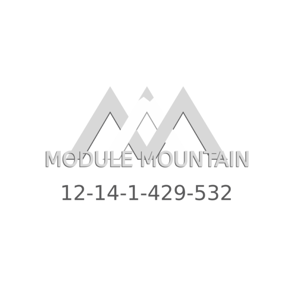 Engine Control Module (ECM) - BMW (12-14-1-429-532)