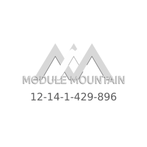 Engine Control Module (ECM) - BMW (12-14-1-429-896)