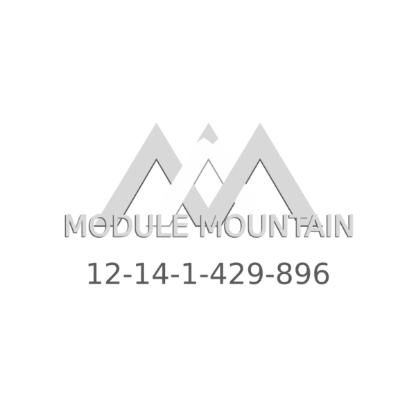 Engine Control Module (ECM) - BMW (12-14-1-429-896)