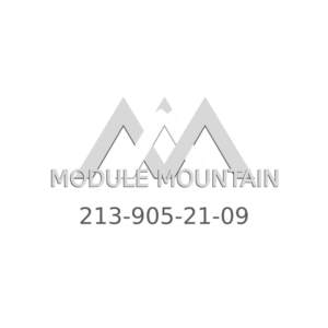 Module - Mercedes-Benz (213-905-21-09)