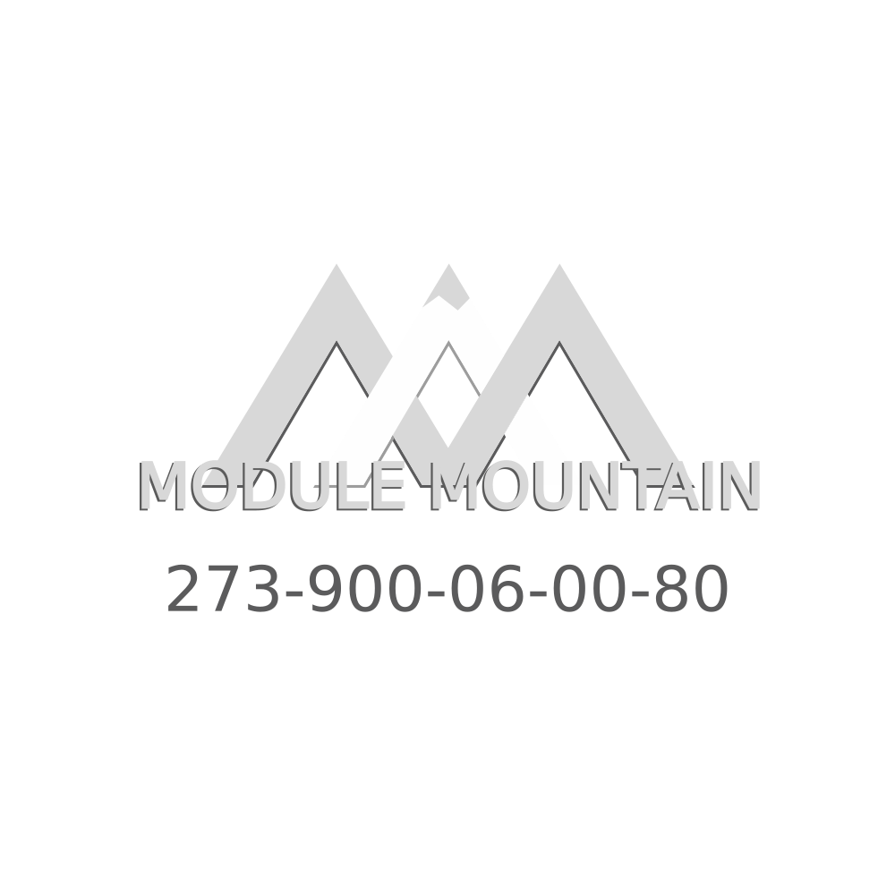 Engine Control Module (ECM) - Mercedes-Benz (273-900-06-00-80)