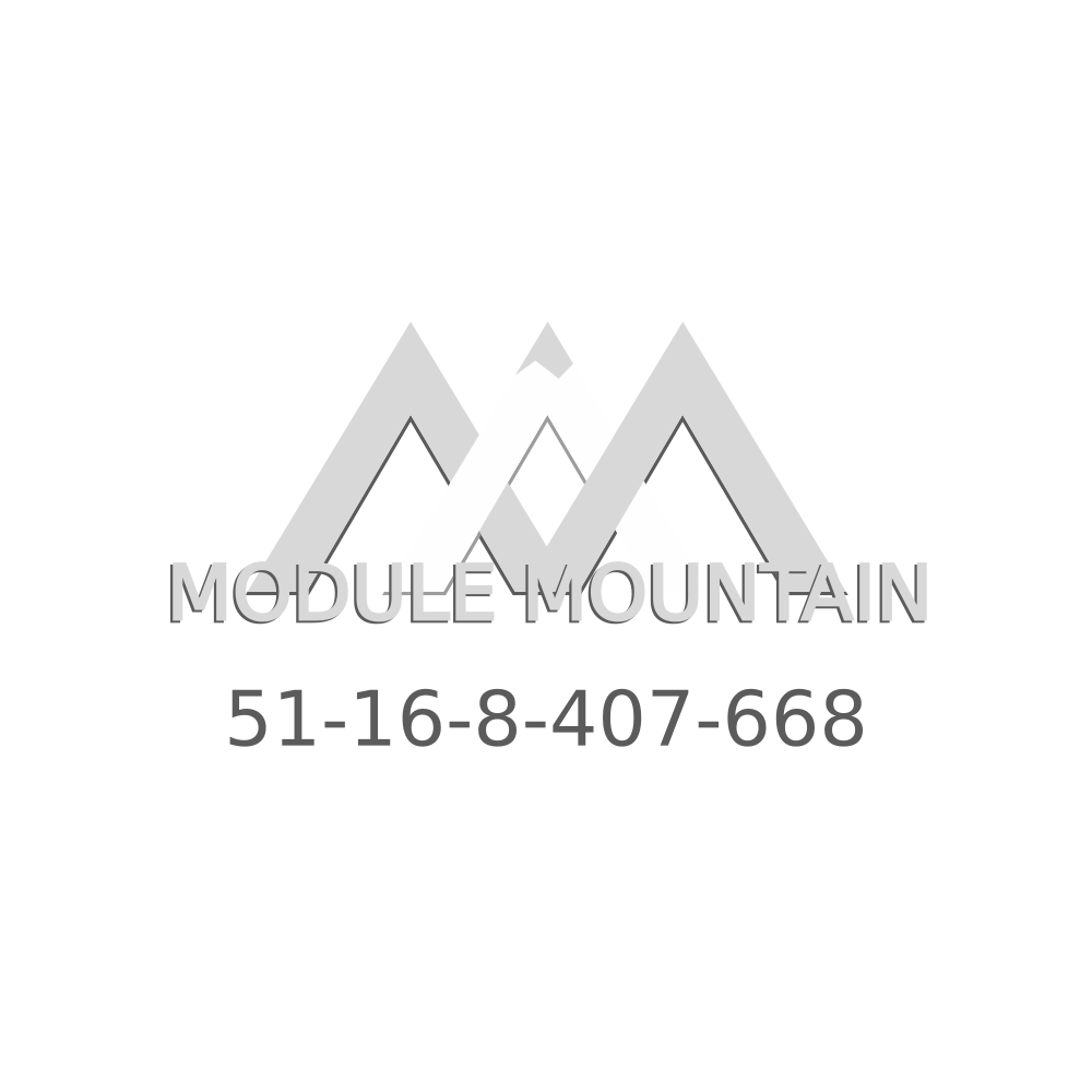 Radio Trim - BMW (51-16-8-407-668)