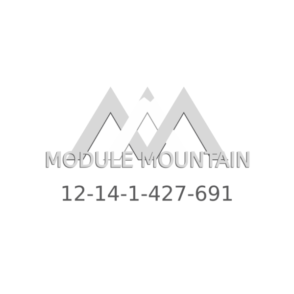 Engine Control Module (ECM) - BMW (12-14-1-427-691)