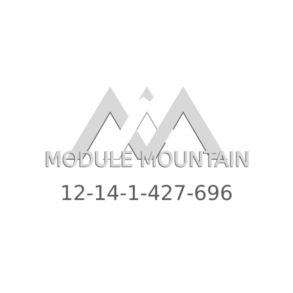 Engine Control Module (ECM) - BMW (12-14-1-427-696)