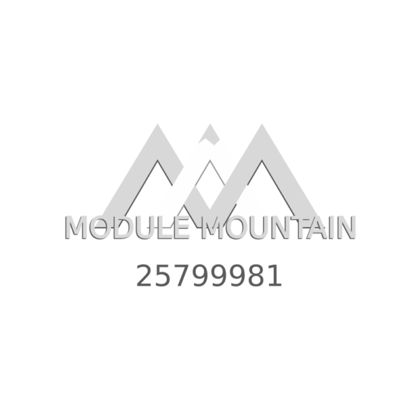 Cluster - GM (25799981)