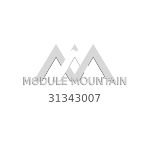 Paddle Switch - Volvo (31343007)