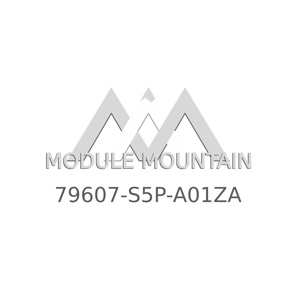 Display, Temperature *NH396L* (Knob Metallic) - Honda (79607-S5P-A01ZA)