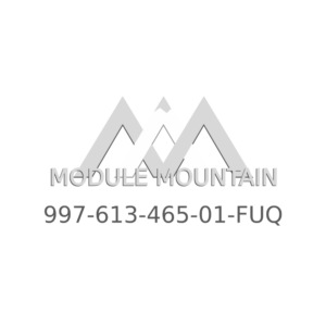 Module - Porsche (997-613-465-01-FUQ)