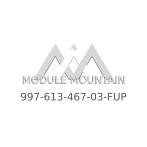 Module - Porsche (997-613-467-03-FUP)