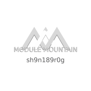 Module - Mazda (sh9n189r0g)