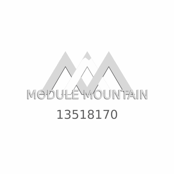 Control Module - GM (13518170)