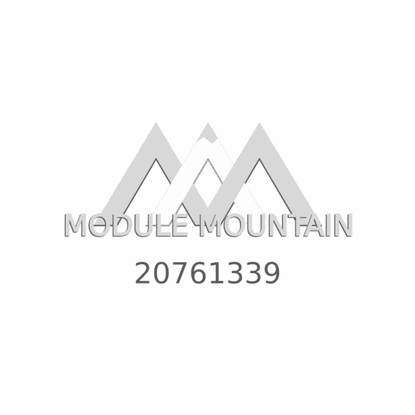 Control Module - GM (20761339)