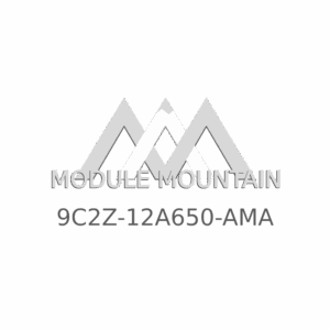 ECM - Ford (9C2Z-12A650-AMA)
