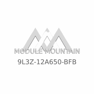 ECM - Ford (9L3Z-12A650-BFB)