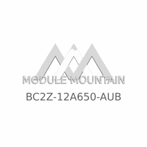 ECM - Ford (BC2Z-12A650-AUB)