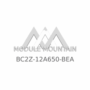 ECM - Ford (BC2Z-12A650-BEA)