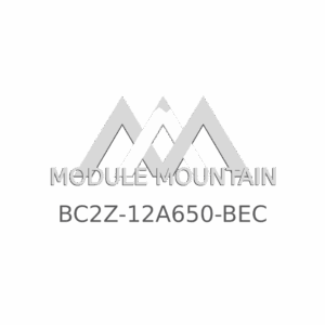 ECM - Ford (BC2Z-12A650-BEC)