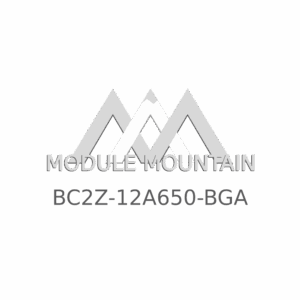 ECM - Ford (BC2Z-12A650-BGA)