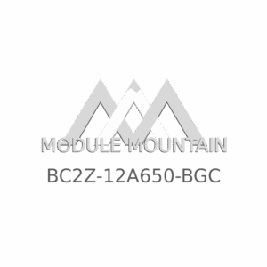 ECM - Ford (BC2Z-12A650-BGC)