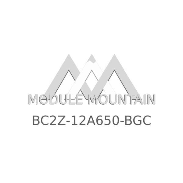 ECM - Ford (BC2Z-12A650-BGC)