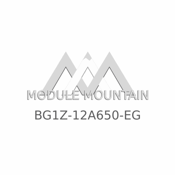 ECM - Ford (BG1Z-12A650-EG)