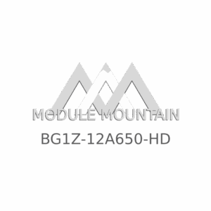 ECM - Ford (BG1Z-12A650-HD)