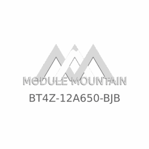 ECM - Ford (BT4Z-12A650-BJB)