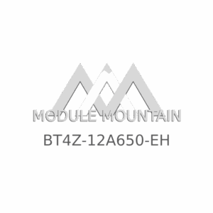ECM - Ford (BT4Z-12A650-EH)