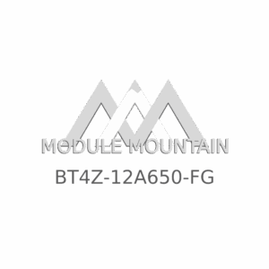 ECM - Ford (BT4Z-12A650-FG)