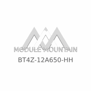 ECM - Ford (BT4Z-12A650-HH)