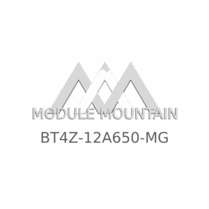 ECM - Ford (BT4Z-12A650-MG)