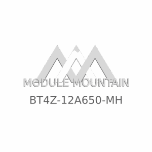 ECM - Ford (BT4Z-12A650-MH)