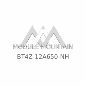 ECM - Ford (BT4Z-12A650-NH)