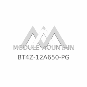 ECM - Ford (BT4Z-12A650-PG)
