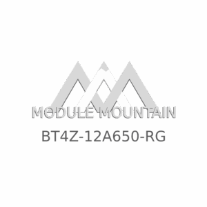ECM - Ford (BT4Z-12A650-RG)