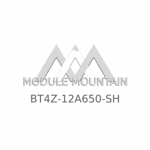ECM - Ford (BT4Z-12A650-SH)