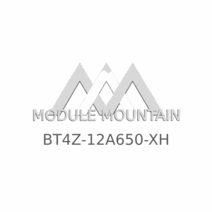 ECM - Ford (BT4Z-12A650-XH)
