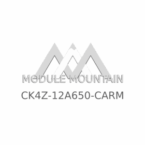 ECM - Ford (CK4Z-12A650-CARM)