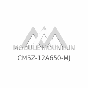 ECM - Ford (CM5Z-12A650-MJ)