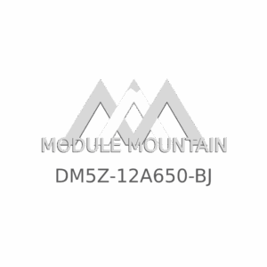 ECM - Ford (DM5Z-12A650-BJ)