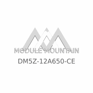 ECM - Ford (DM5Z-12A650-CE)