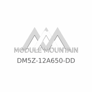 ECM - Ford (DM5Z-12A650-DD)