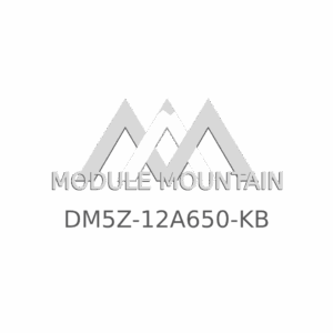 ECM - Ford (DM5Z-12A650-KB)