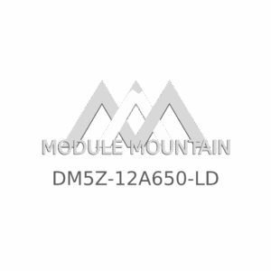 ECM - Ford (DM5Z-12A650-LD)