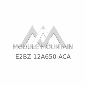 ECM - Ford (E2BZ-12A650-ACA)