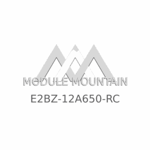 ECM - Ford (E2BZ-12A650-RC)