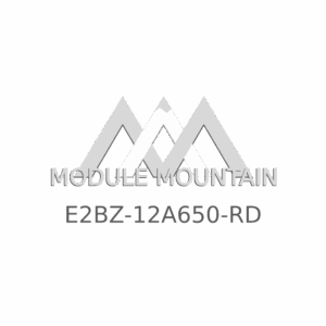 ECM - Ford (E2BZ-12A650-RD)