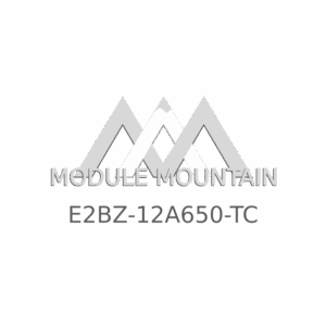 ECM - Ford (E2BZ-12A650-TC)