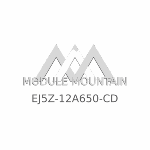ECM - Ford (EJ5Z-12A650-CD)