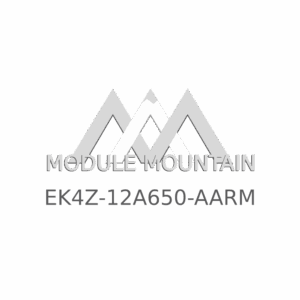 ECM - Ford (EK4Z-12A650-AARM)